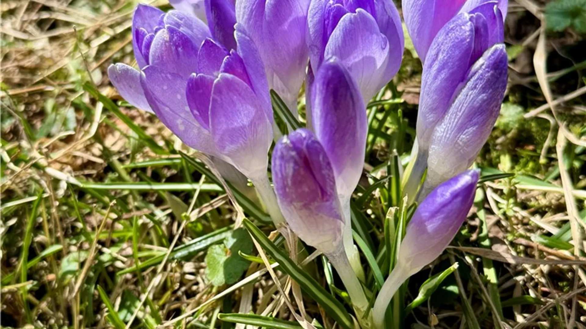 Property at 289 Main Street, Unadilla, NY 13849 39