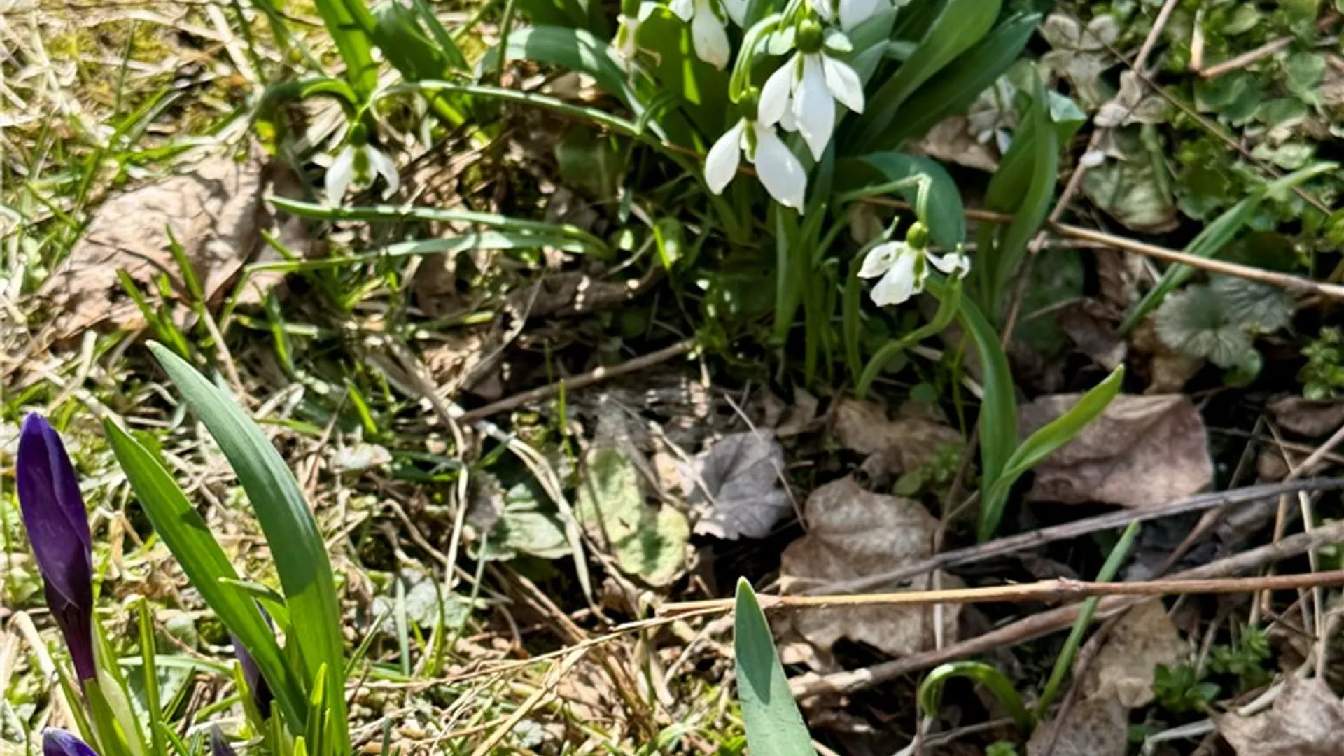 Property at 289 Main Street, Unadilla, NY 13849 40