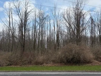 00 V/L McVean Road, Darien, NY 14036