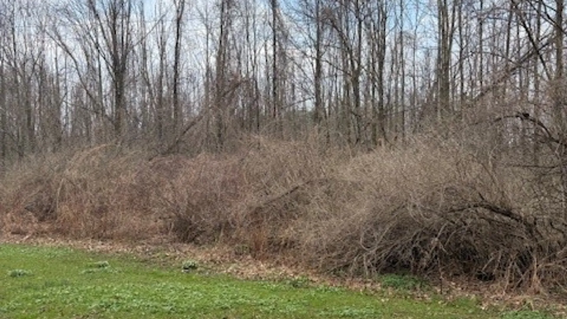 Property at 00 V/L McVean Road, Darien, NY 14036 2