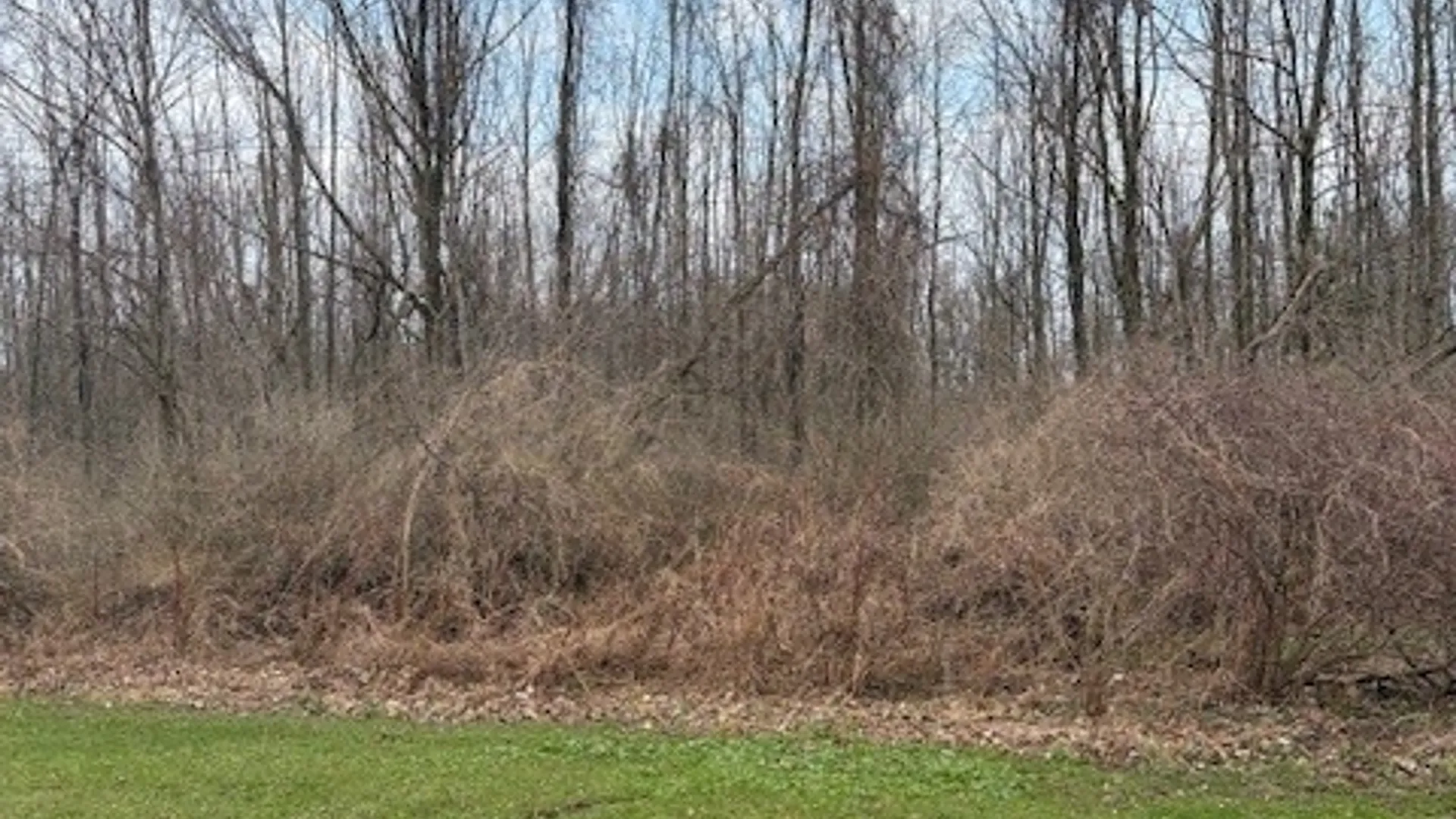 Property at 00 V/L McVean Road, Darien, NY 14036 3