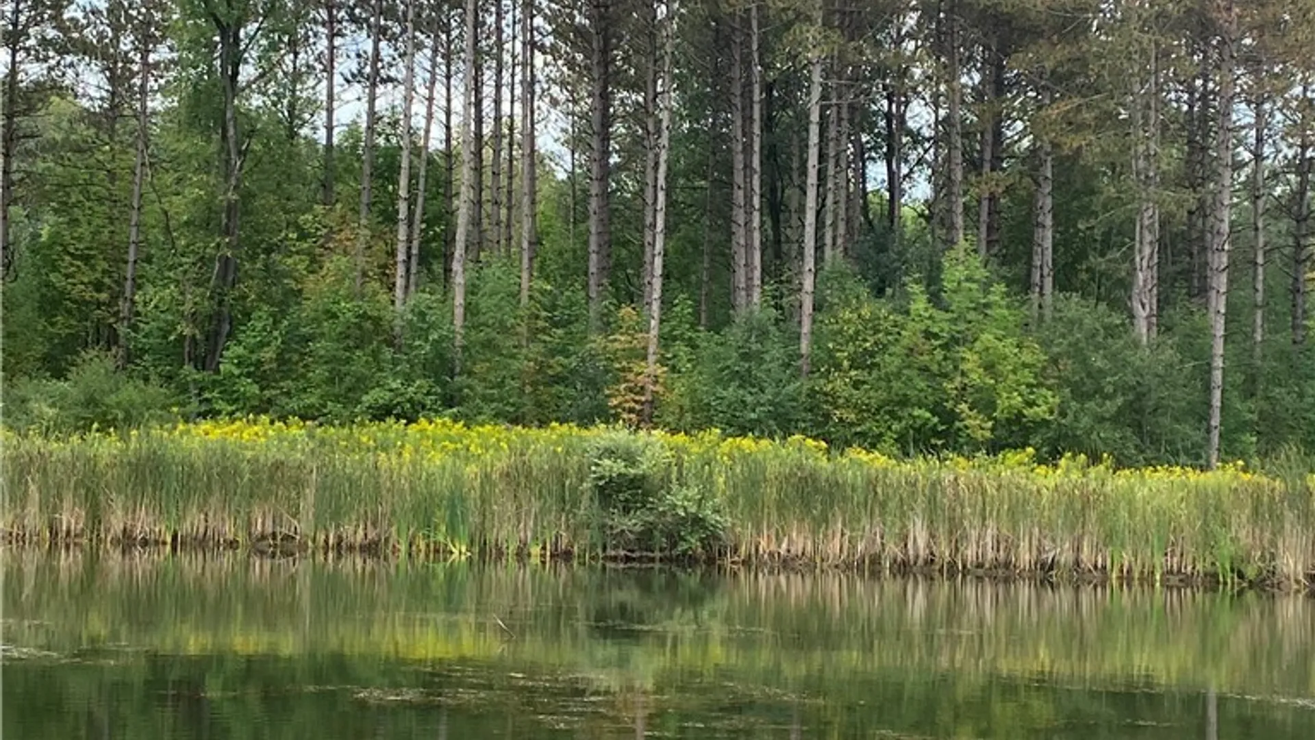 Property at 00 Rt-77, Java, NY 14082 10