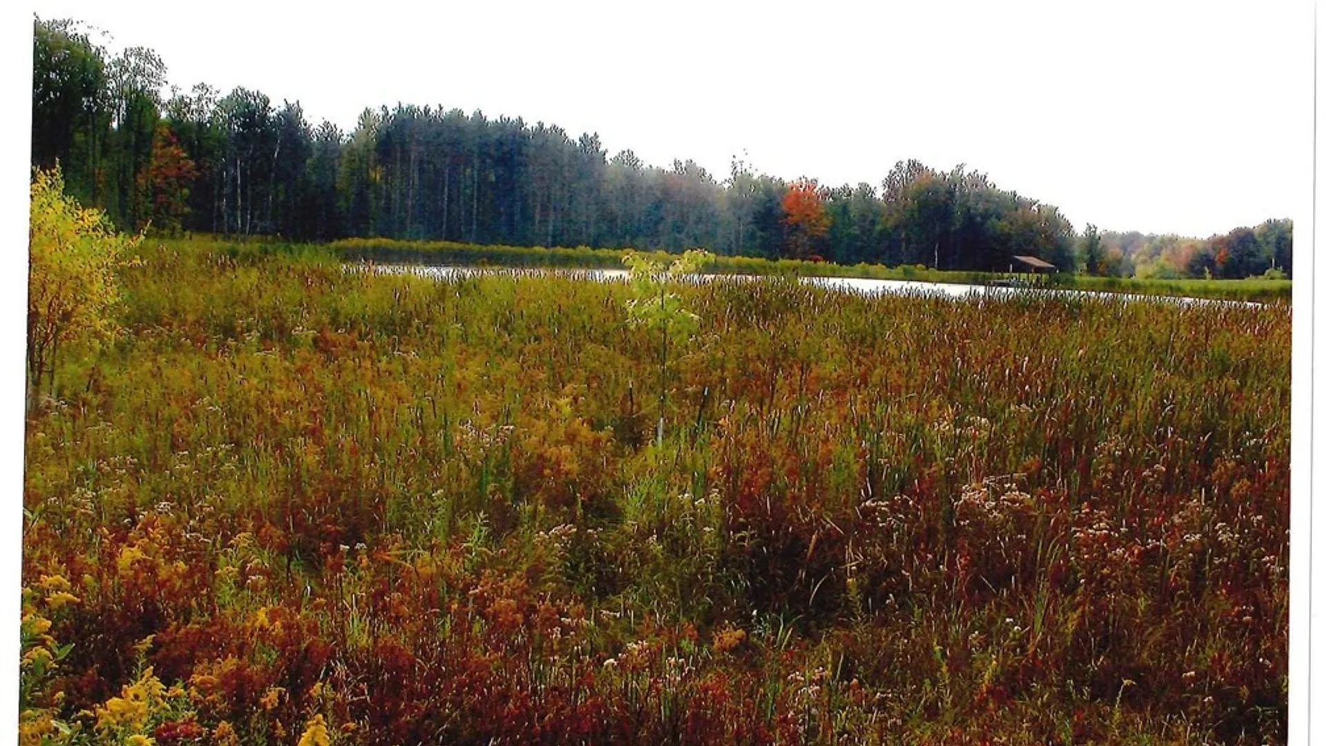 Property at 00 Rt-77, Java, NY 14082 11