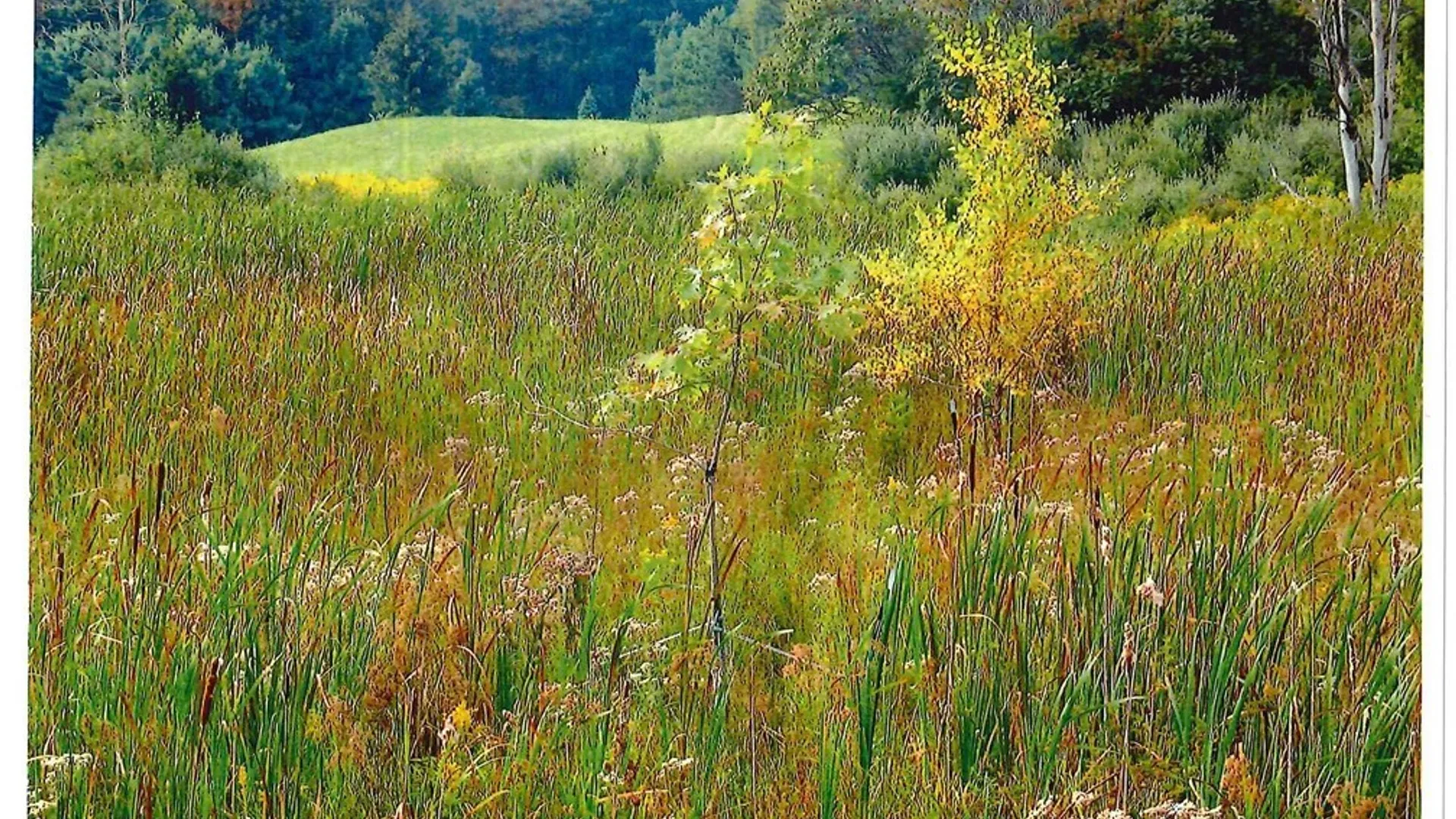 Property at 00 Rt-77, Java, NY 14082 12