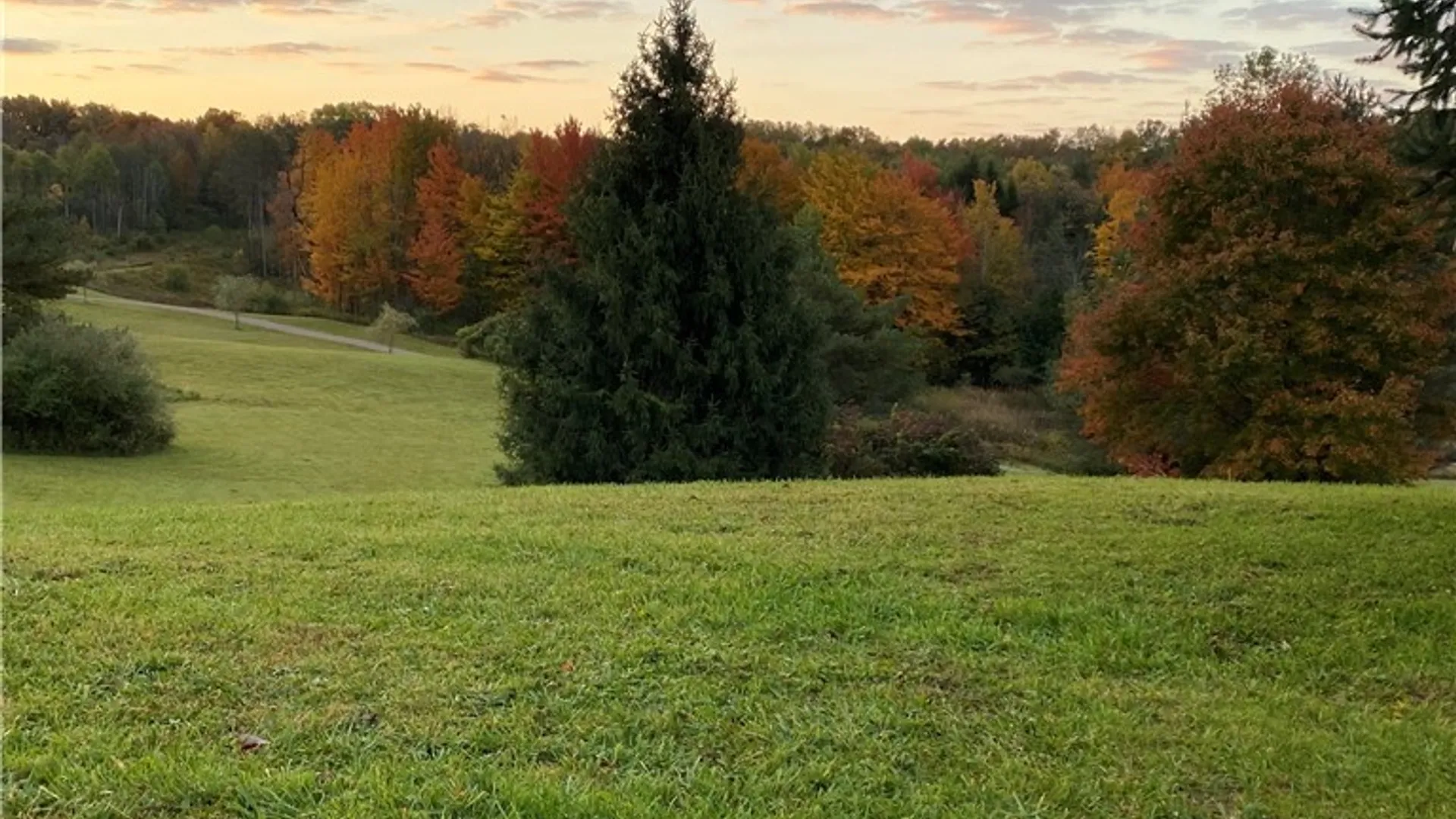 Property at 00 Rt-77, Java, NY 14082 15