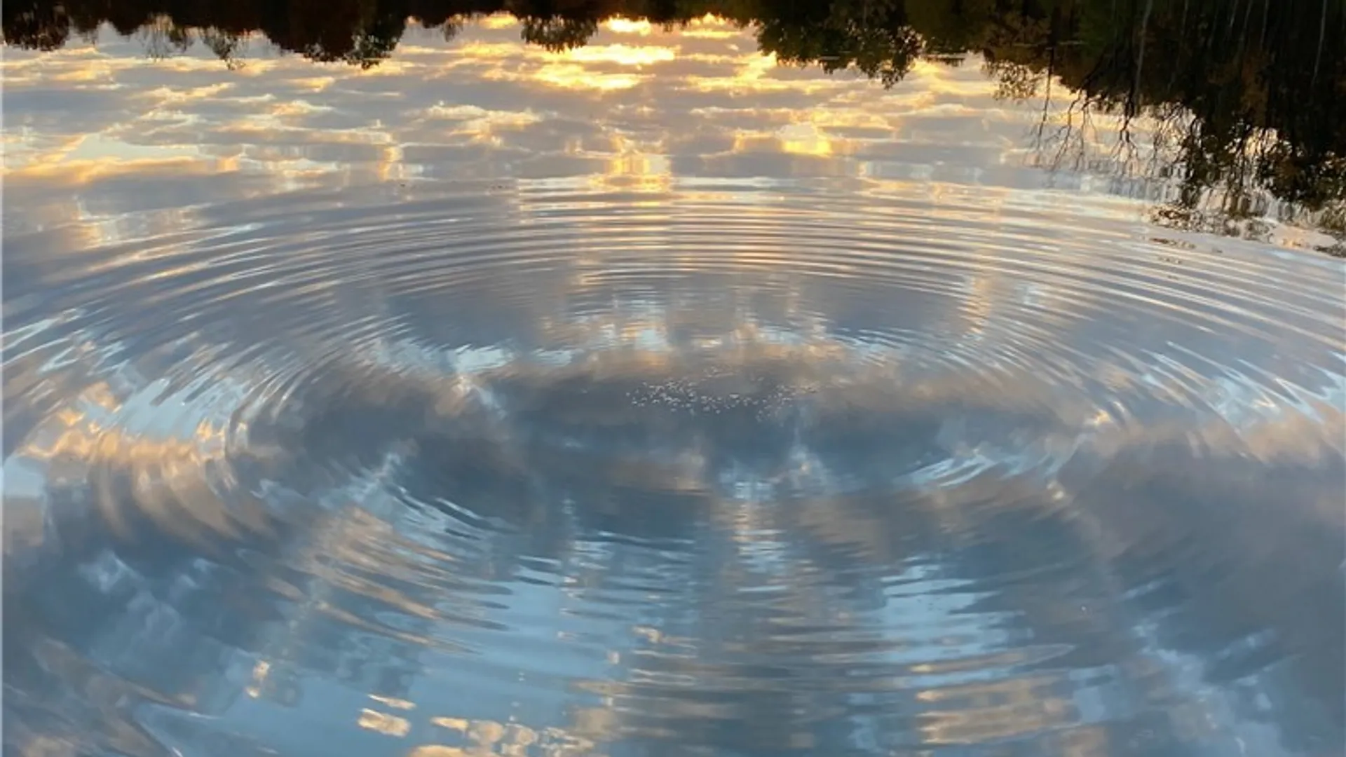 Property at 00 Rt-77, Java, NY 14082 17