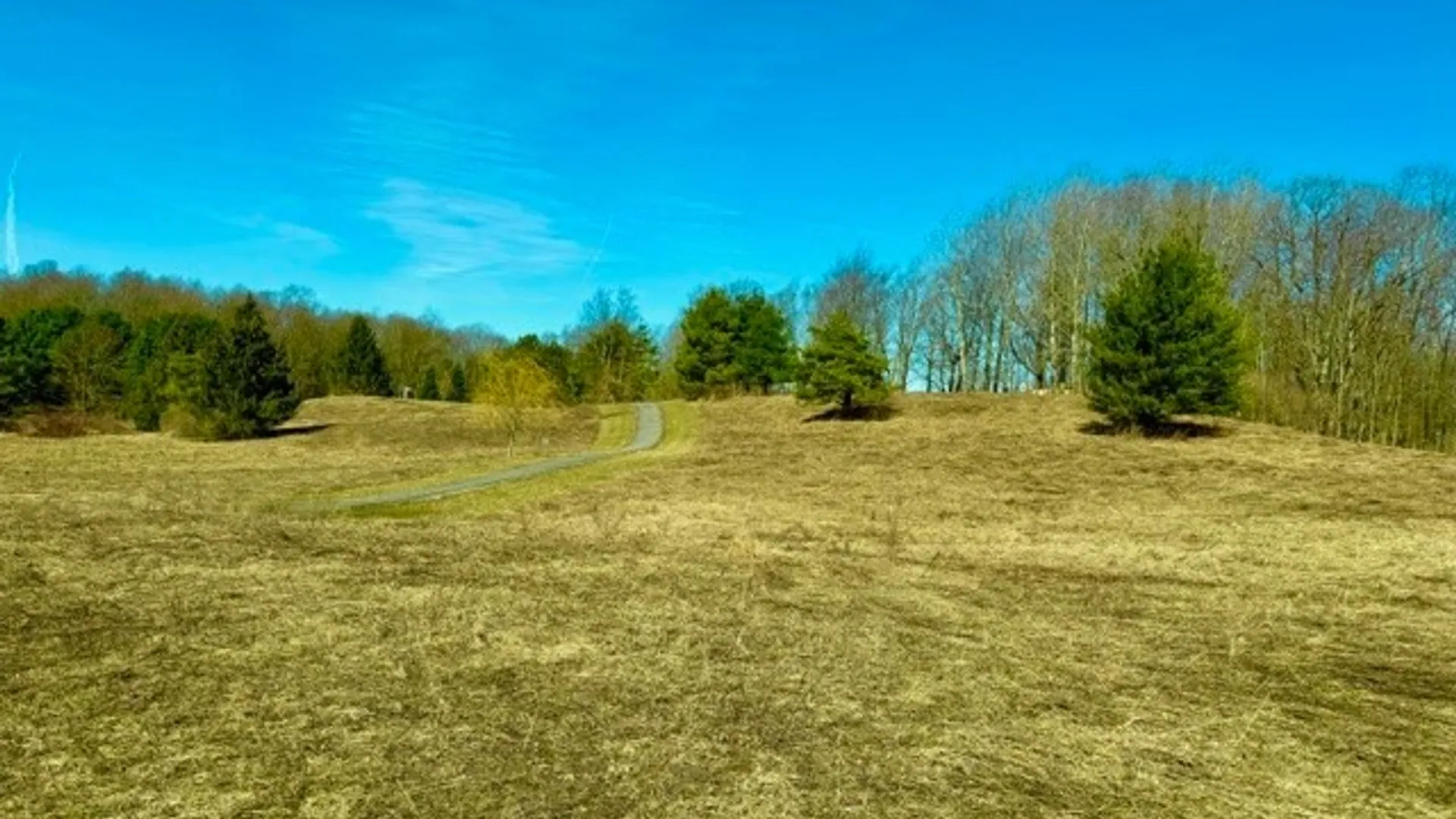 Property at 00 Rt-77, Java, NY 14082 5