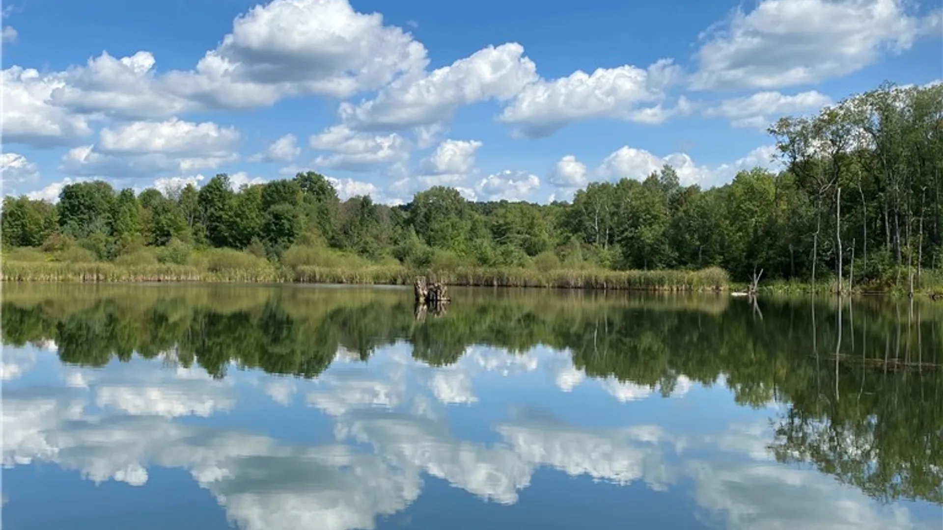 Property at 00 Rt-77, Java, NY 14082 7