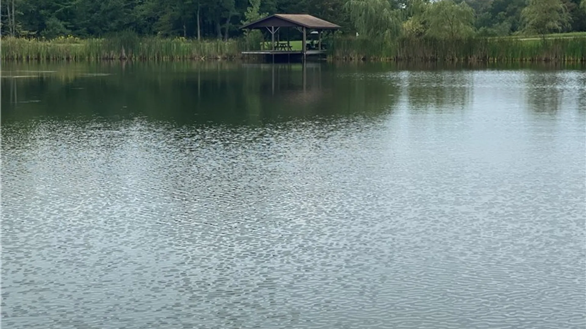 Property at 00 Rt-77, Java, NY 14082 9