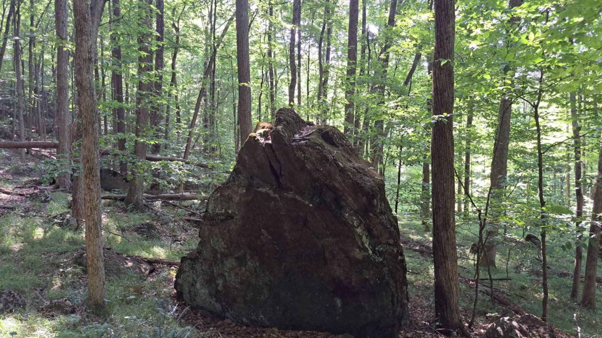 Property at L 15.1 State Route 28, Warrensburg, NY 12885 10