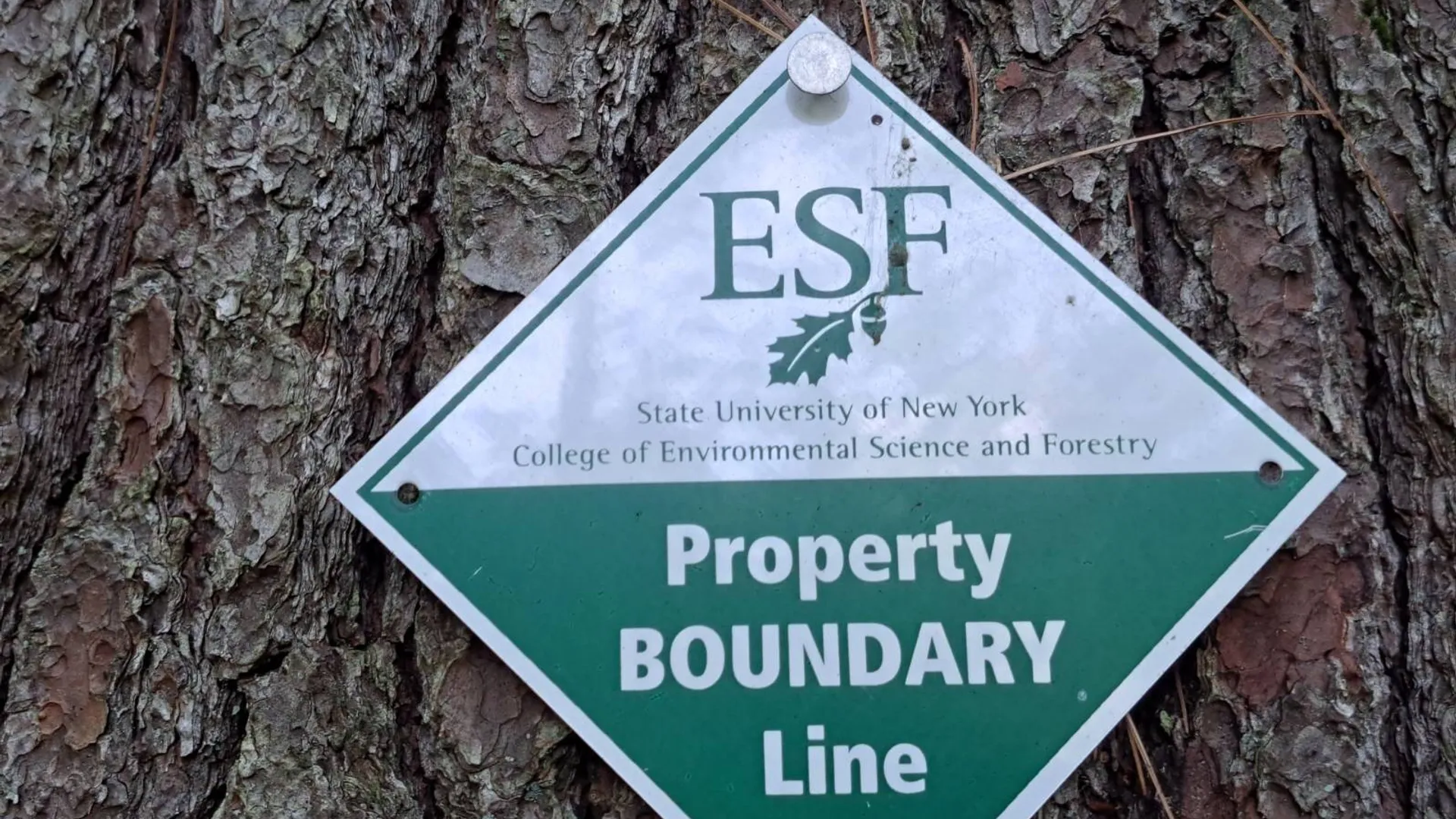 Property at L 15.1 State Route 28, Warrensburg, NY 12885 13