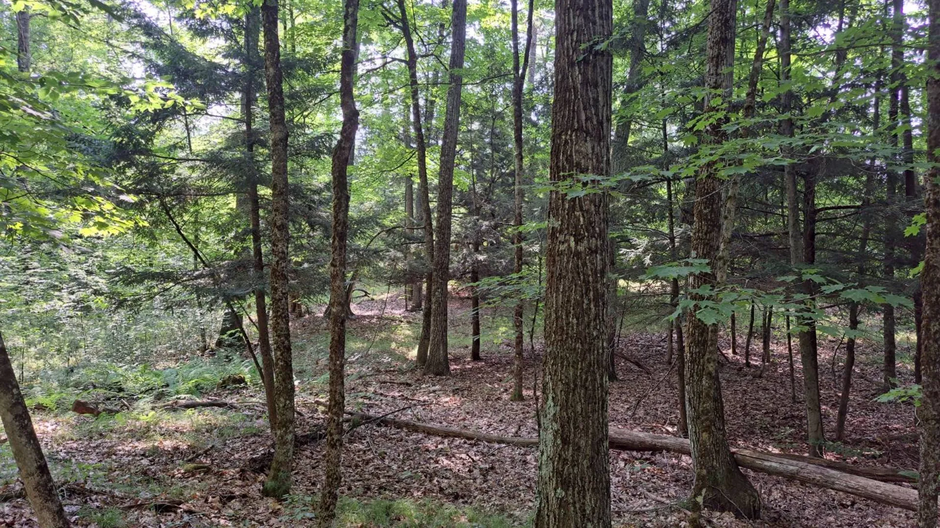 Property at L 15.1 State Route 28, Warrensburg, NY 12885 16