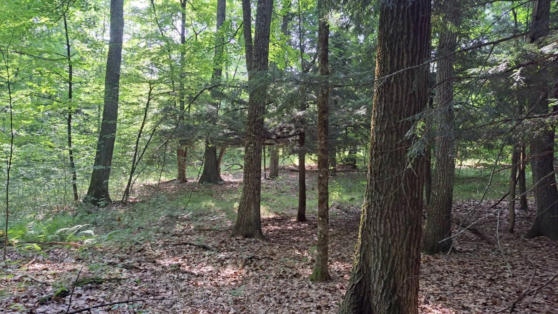 Property at L 15.1 State Route 28, Warrensburg, NY 12885 18