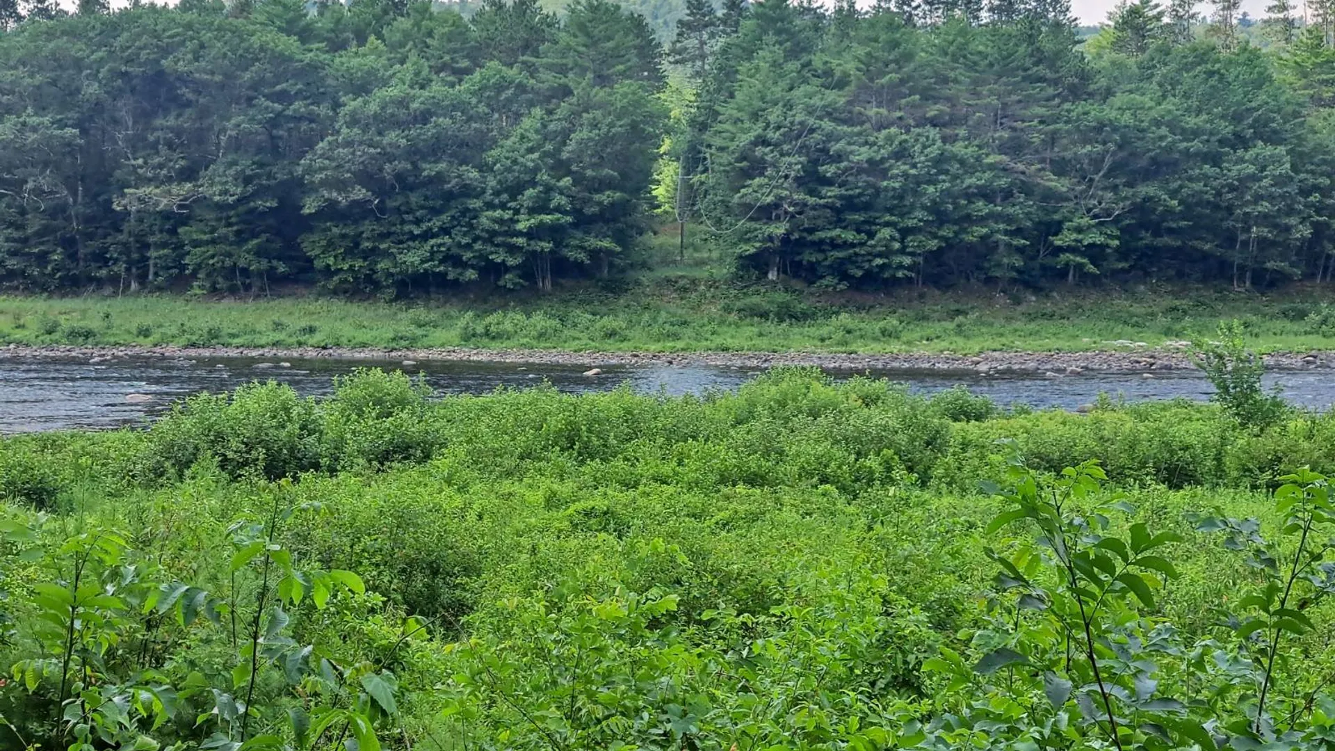 Property at L 15.1 State Route 28, Warrensburg, NY 12885 19