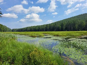 Property at L 15.1 State Route 28, Warrensburg, NY 12885