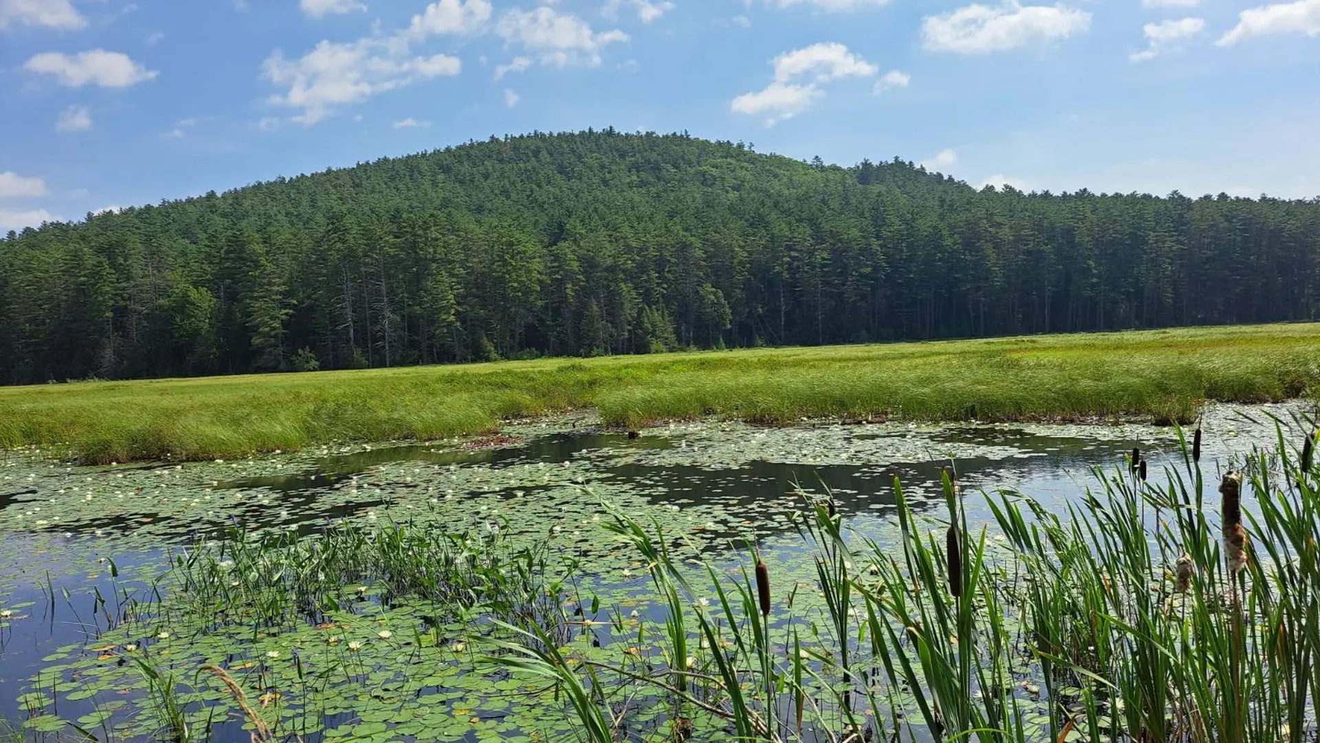 Property at L 15.1 State Route 28, Warrensburg, NY 12885 2