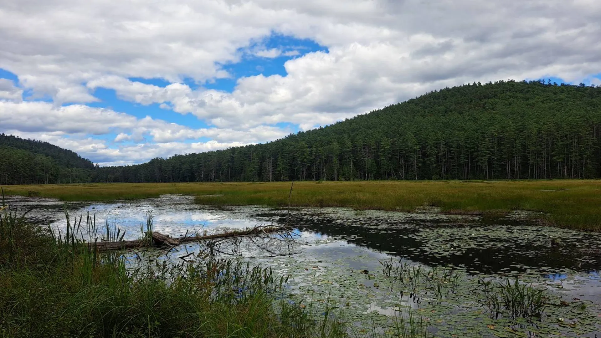 Property at L 15.1 State Route 28, Warrensburg, NY 12885 23