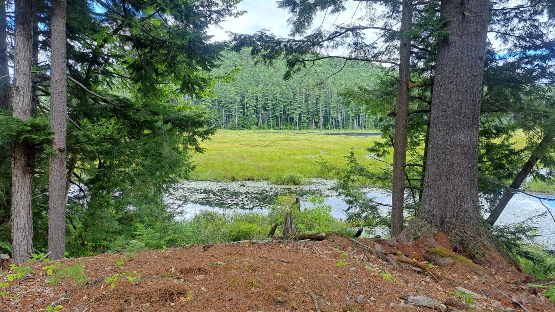 Property at L 15.1 State Route 28, Warrensburg, NY 12885 24