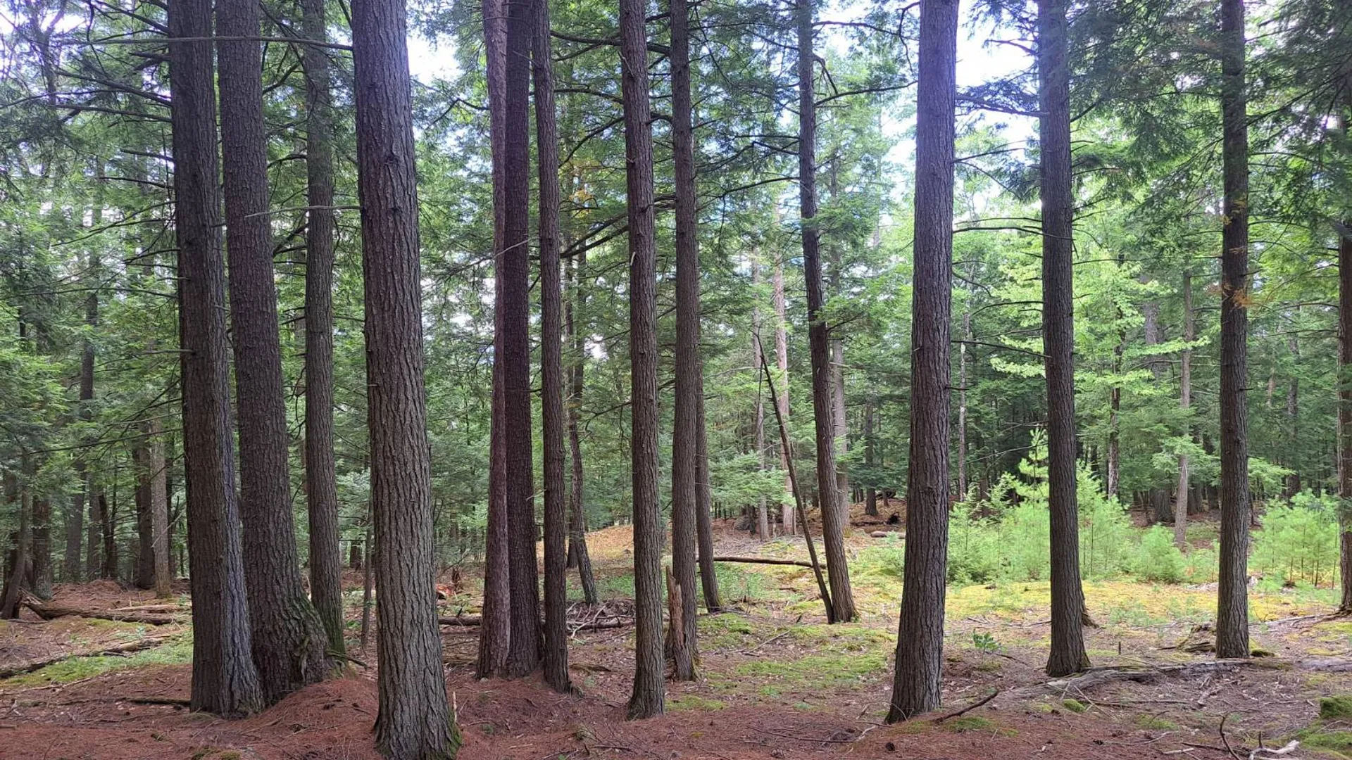 Property at L 15.1 State Route 28, Warrensburg, NY 12885 25