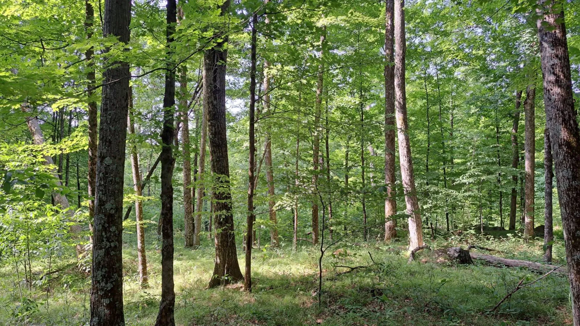 Property at L 15.1 State Route 28, Warrensburg, NY 12885 28