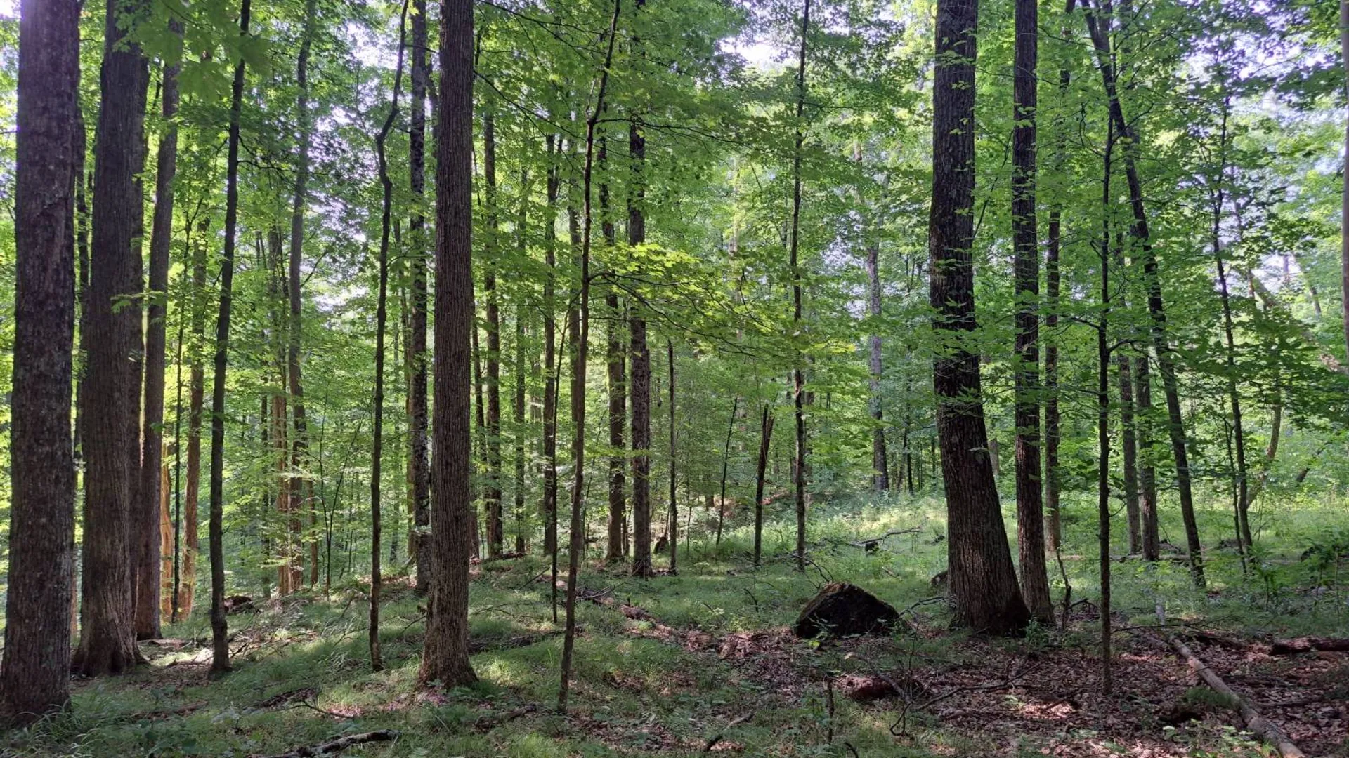 Property at L 15.1 State Route 28, Warrensburg, NY 12885 30