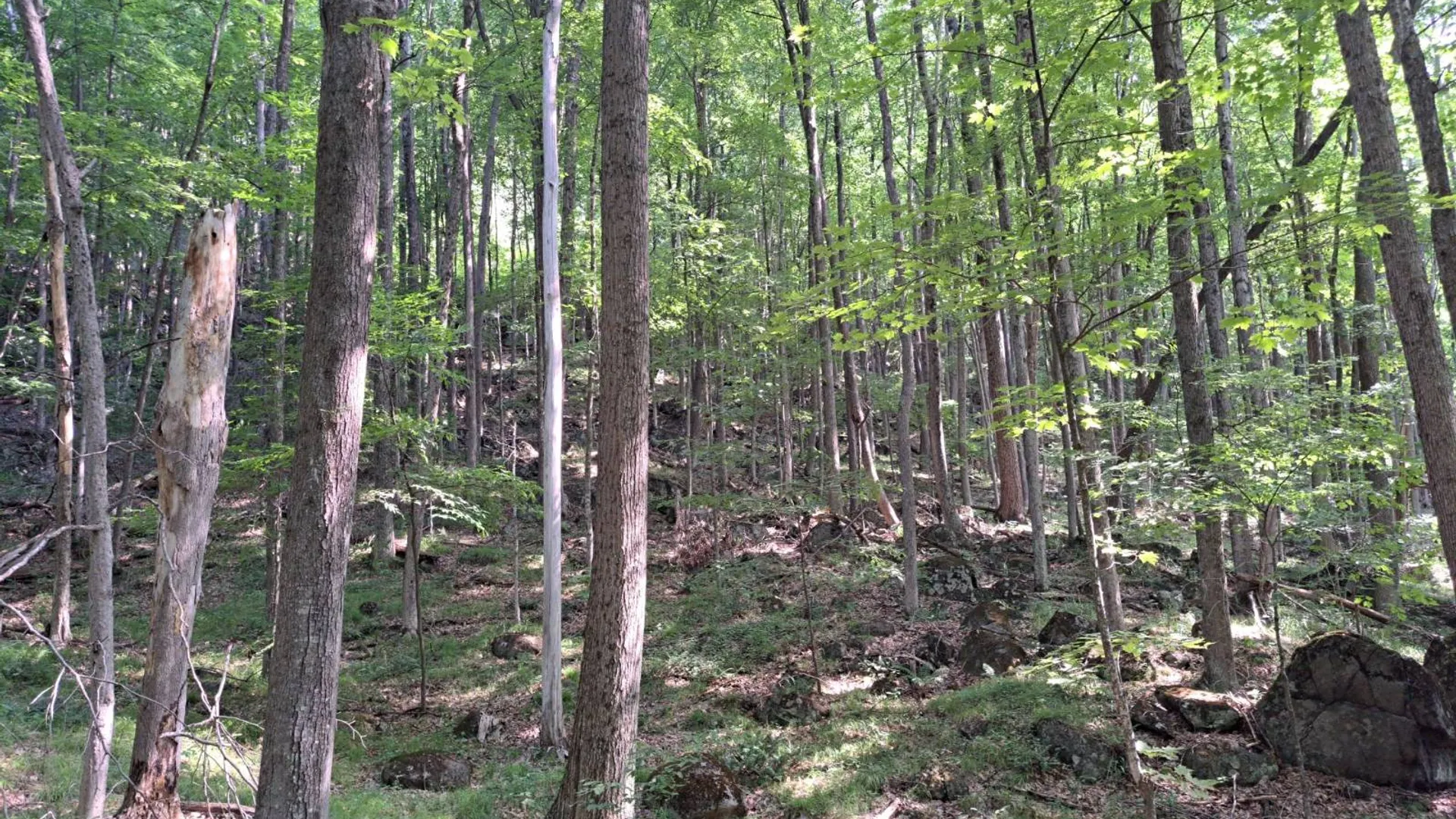 Property at L 15.1 State Route 28, Warrensburg, NY 12885 31