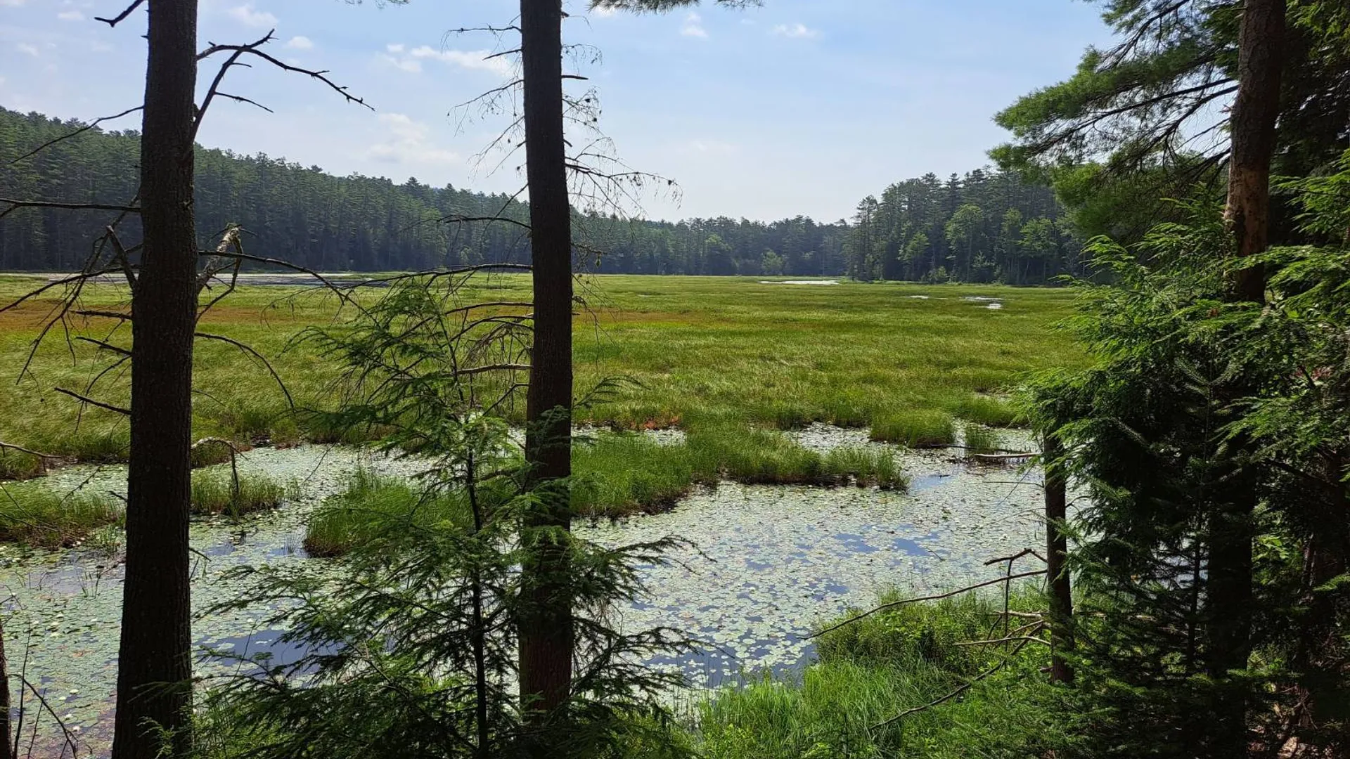Property at L 15.1 State Route 28, Warrensburg, NY 12885 37