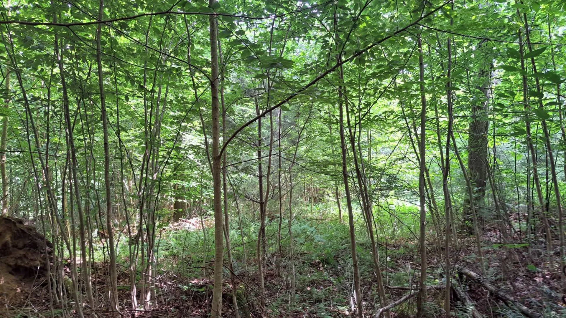 Property at L 15.1 State Route 28, Warrensburg, NY 12885 41