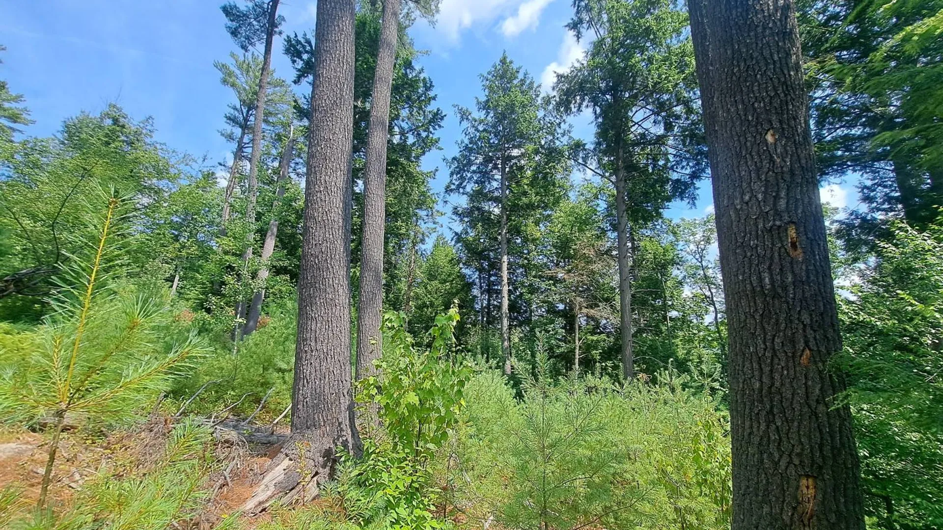 Property at L 15.1 State Route 28, Warrensburg, NY 12885 43