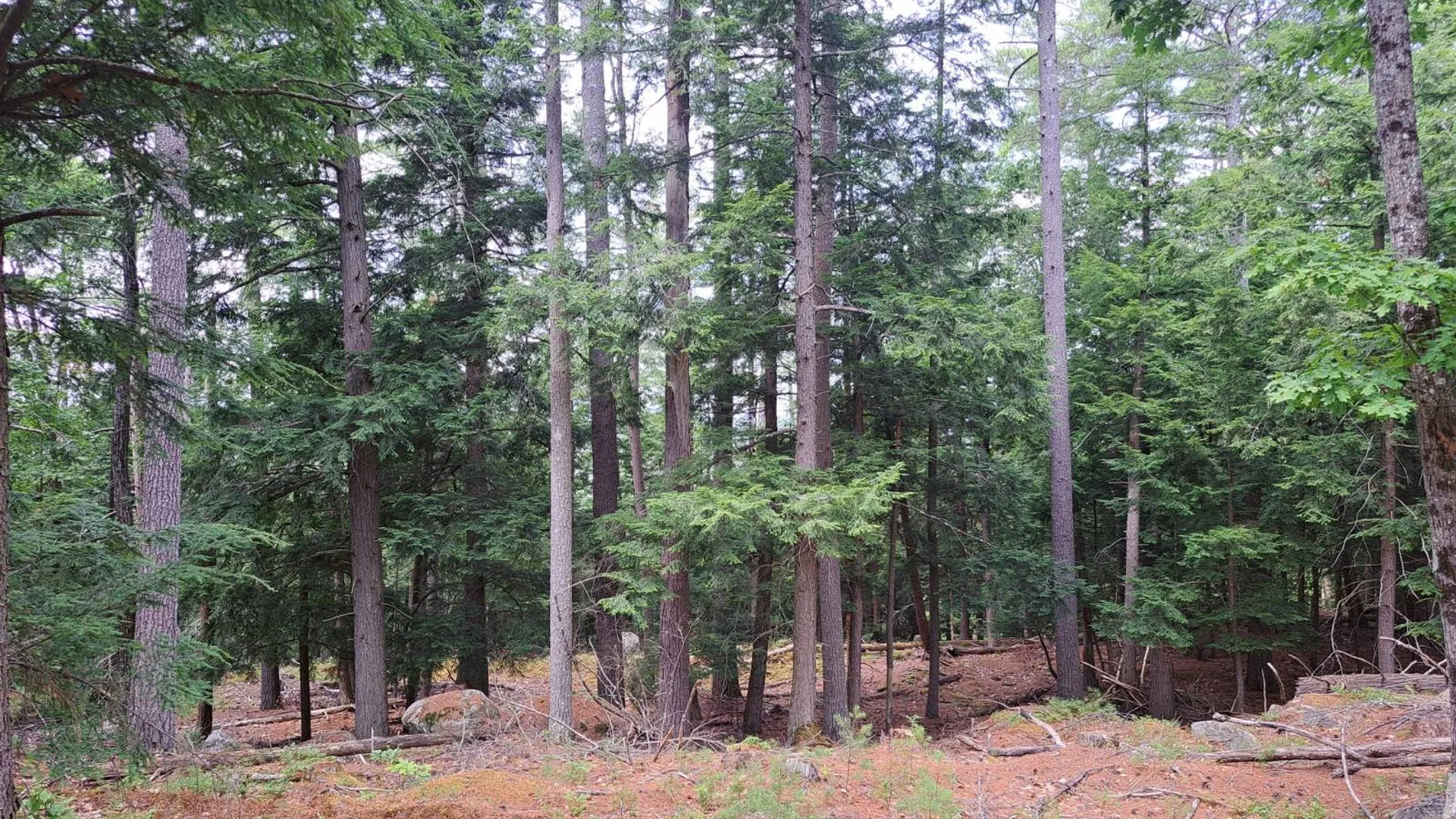 Property at L 15.1 State Route 28, Warrensburg, NY 12885 44
