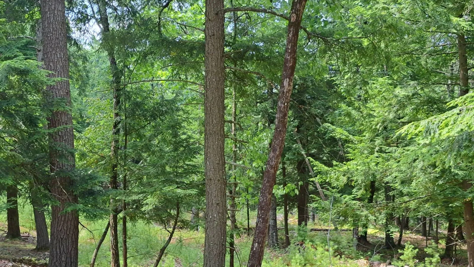 Property at L 15.1 State Route 28, Warrensburg, NY 12885 45