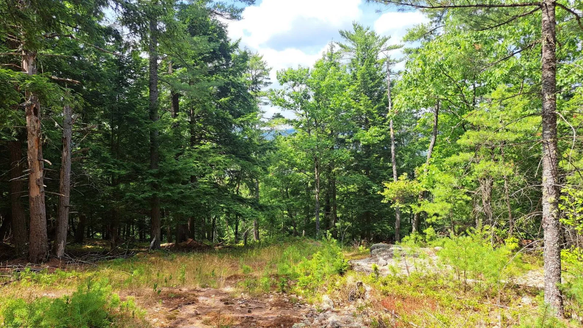 Property at L 15.1 State Route 28, Warrensburg, NY 12885 46