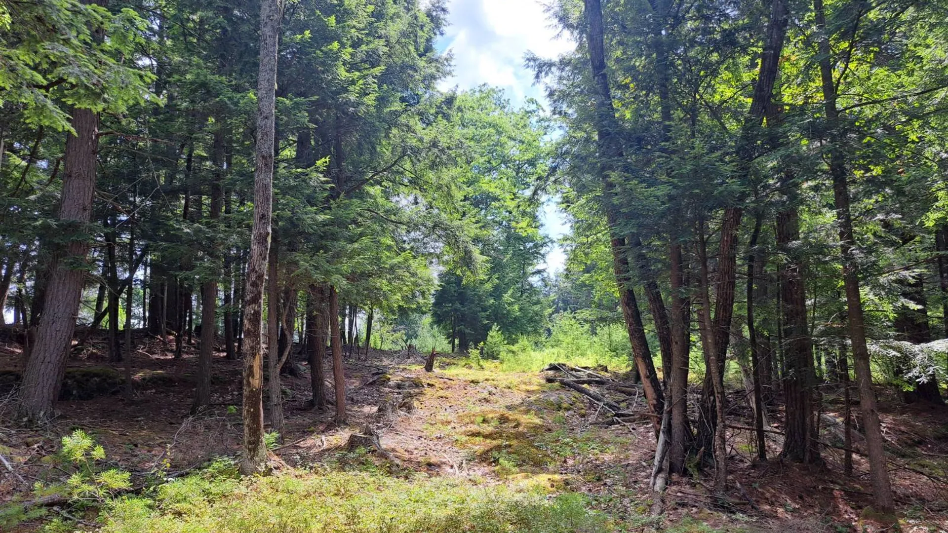 Property at L 15.1 State Route 28, Warrensburg, NY 12885 47
