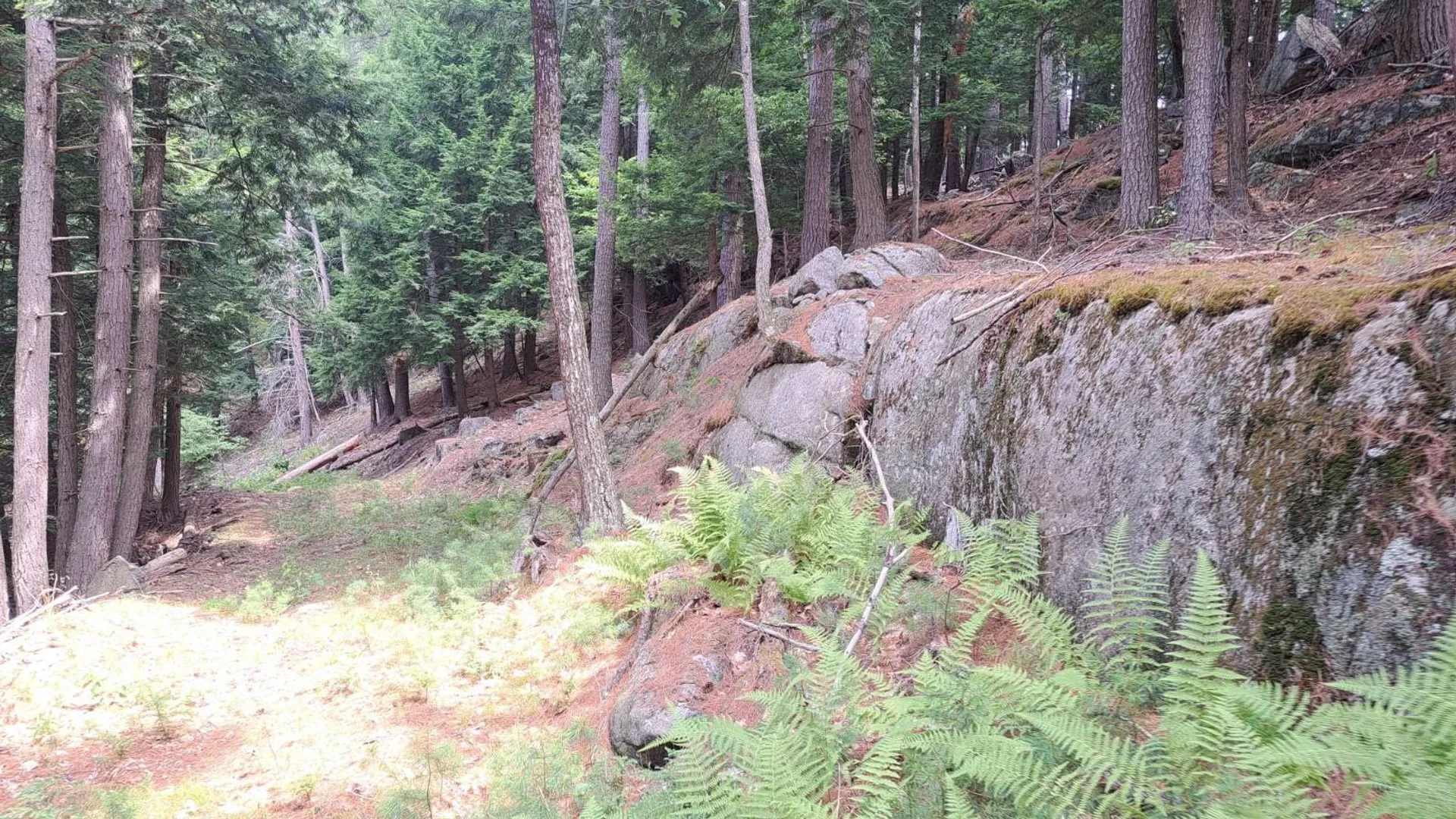 Property at L 15.1 State Route 28, Warrensburg, NY 12885 48