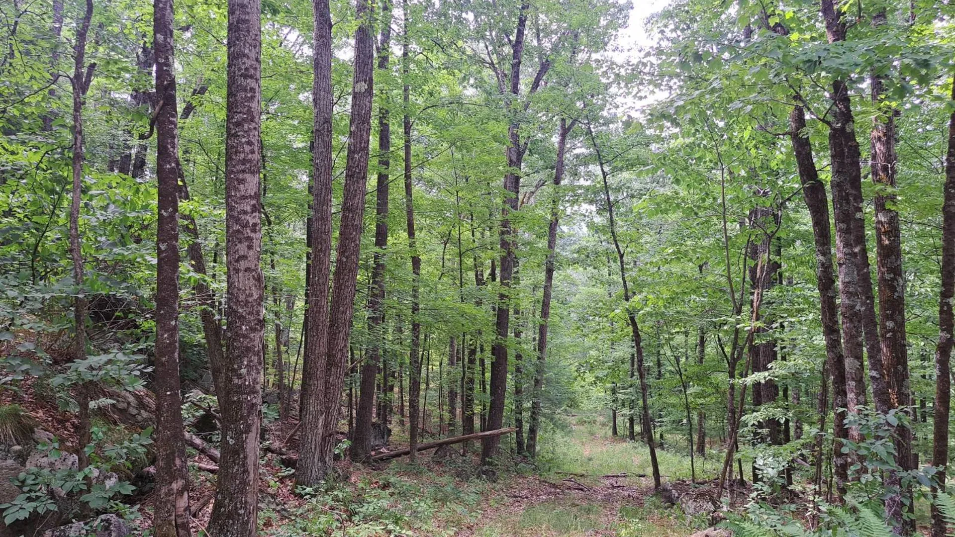 Property at L 15.1 State Route 28, Warrensburg, NY 12885 49