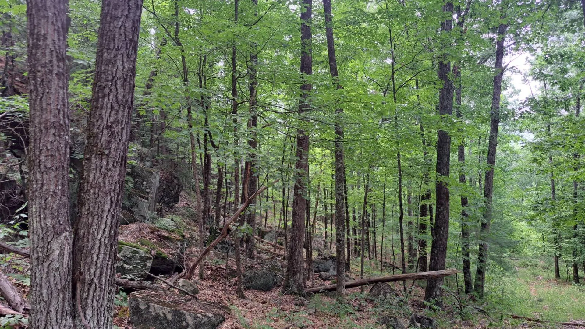 Property at L 15.1 State Route 28, Warrensburg, NY 12885 50