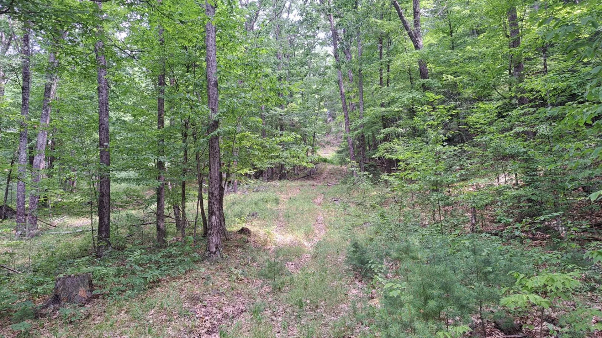 Property at L 15.1 State Route 28, Warrensburg, NY 12885 51