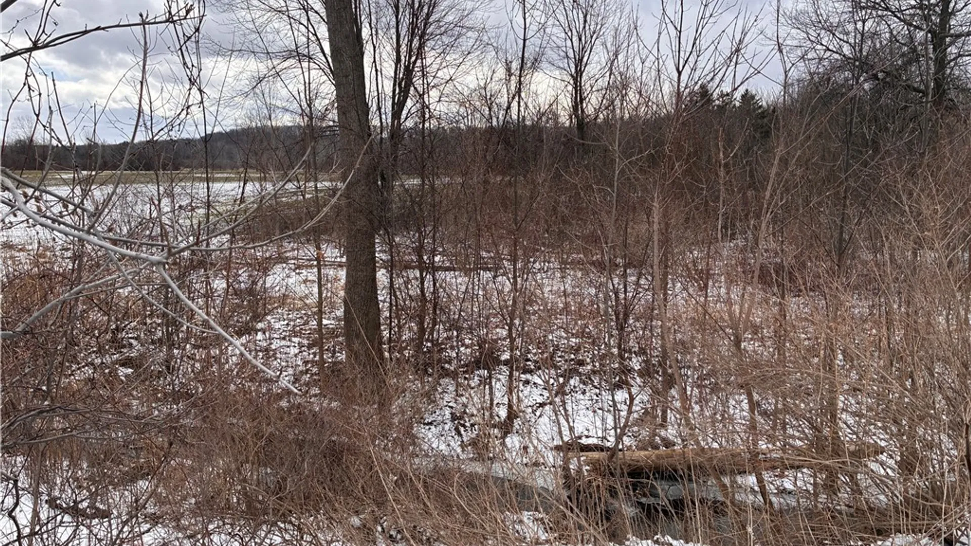 Property at Ridge Road, Lewiston, NY 14092 10