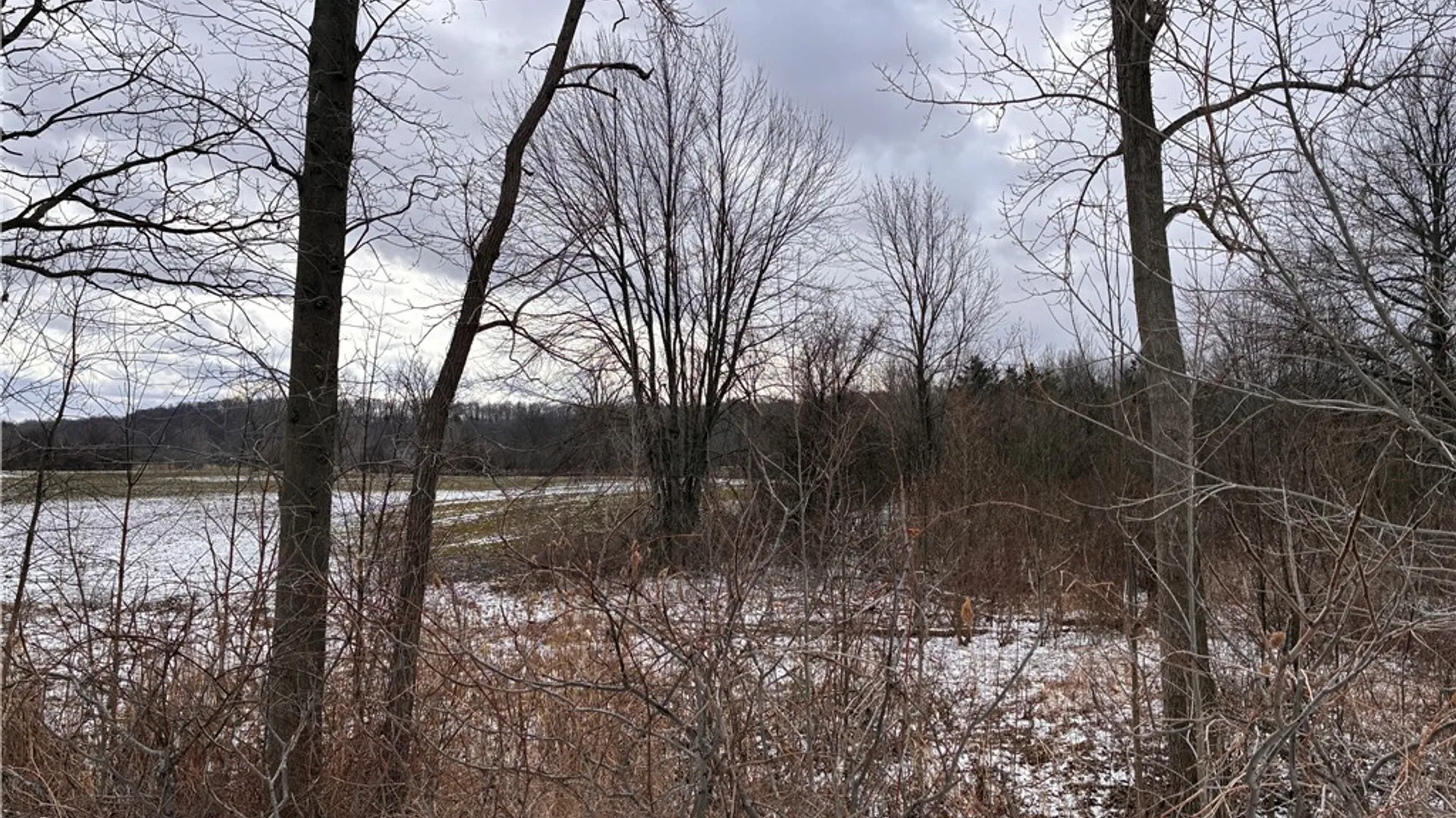 Property at Ridge Road, Lewiston, NY 14092 11