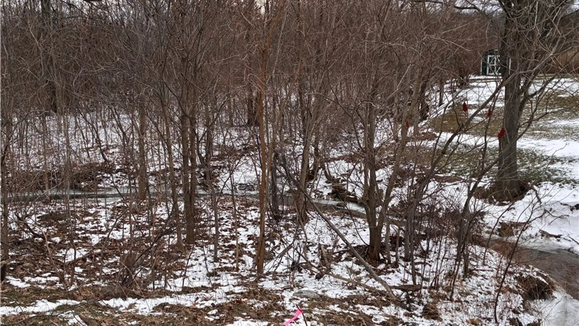 Property at Ridge Road, Lewiston, NY 14092 13