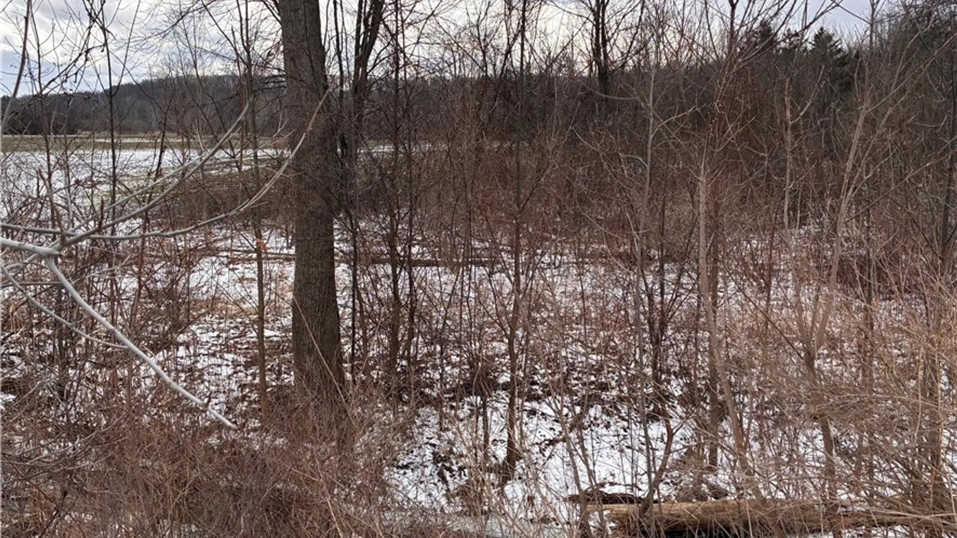 Property at Ridge Road, Lewiston, NY 14092 15