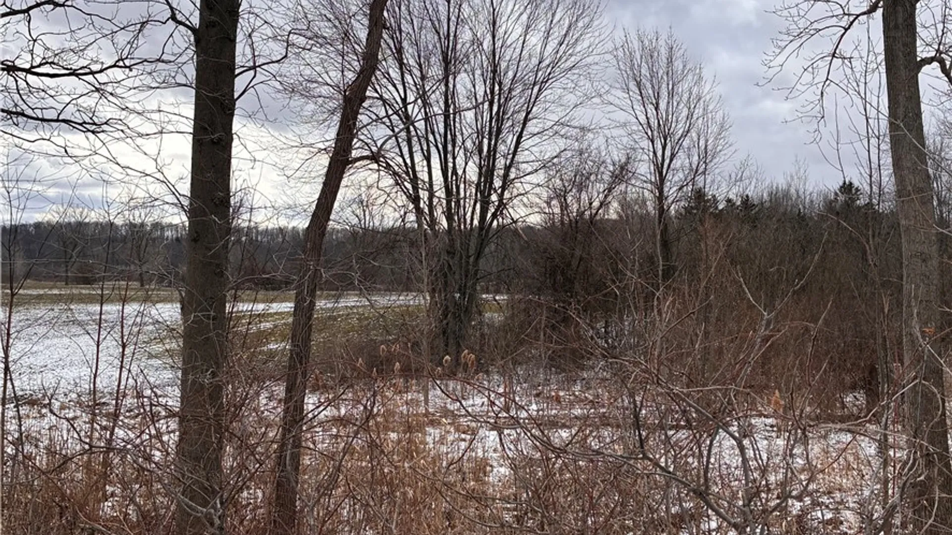 Property at Ridge Road, Lewiston, NY 14092 16