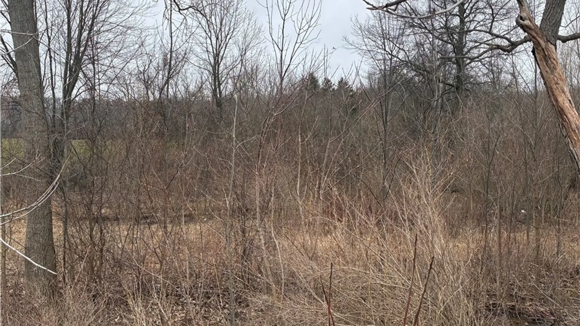 Property at Ridge Road, Lewiston, NY 14092 18