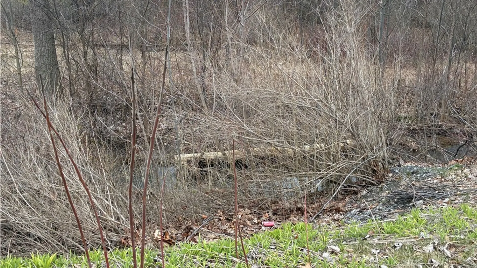 Property at Ridge Road, Lewiston, NY 14092 2