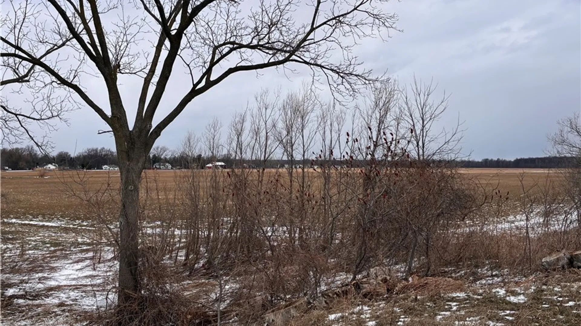 Property at Ridge Road, Lewiston, NY 14092 3