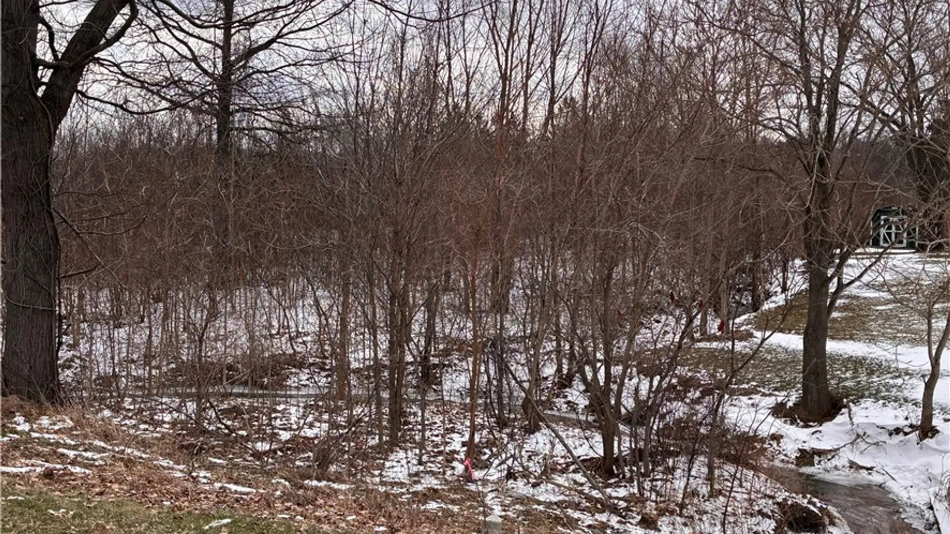 Property at Ridge Road, Lewiston, NY 14092 5