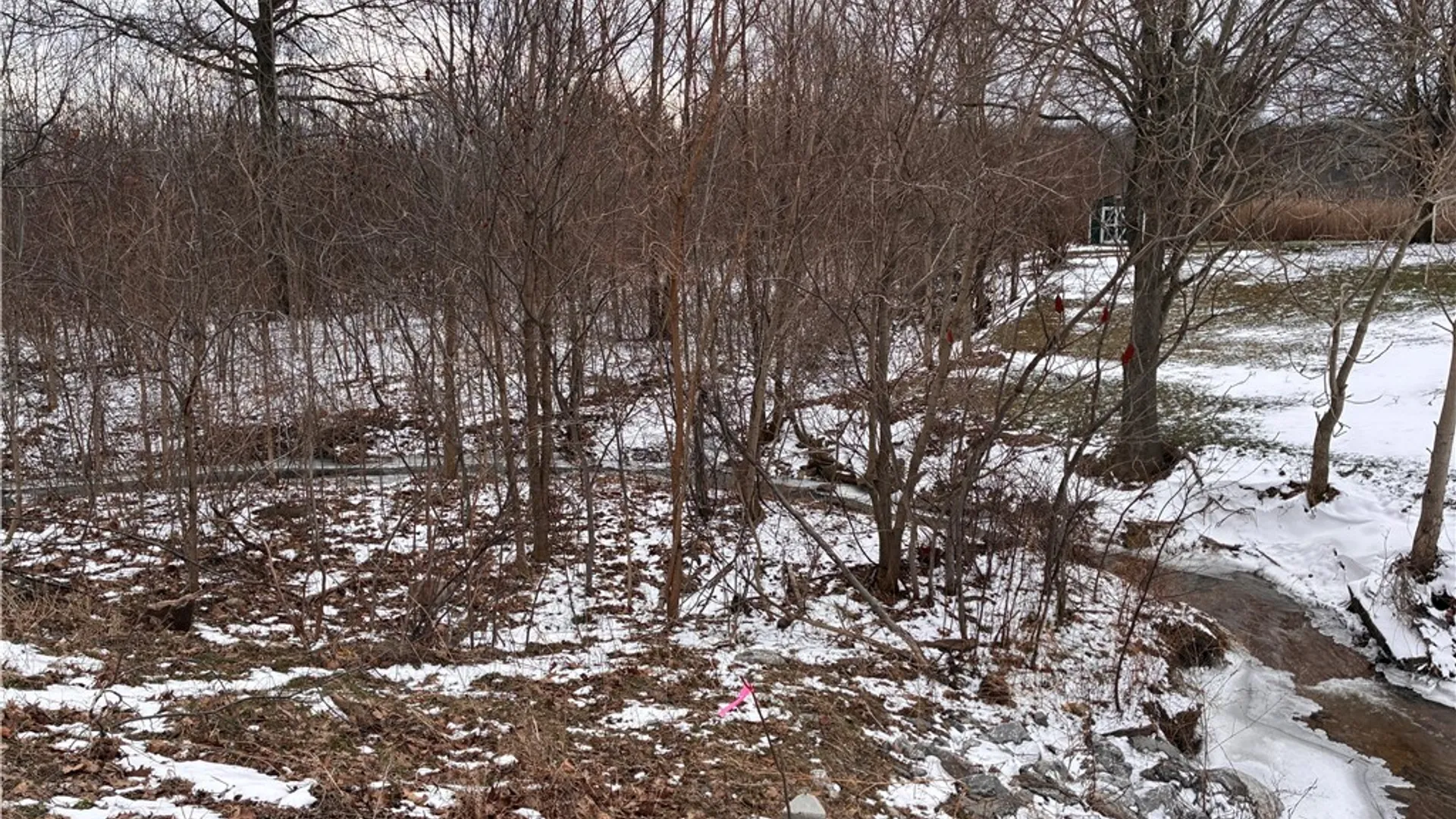 Property at Ridge Road, Lewiston, NY 14092 7