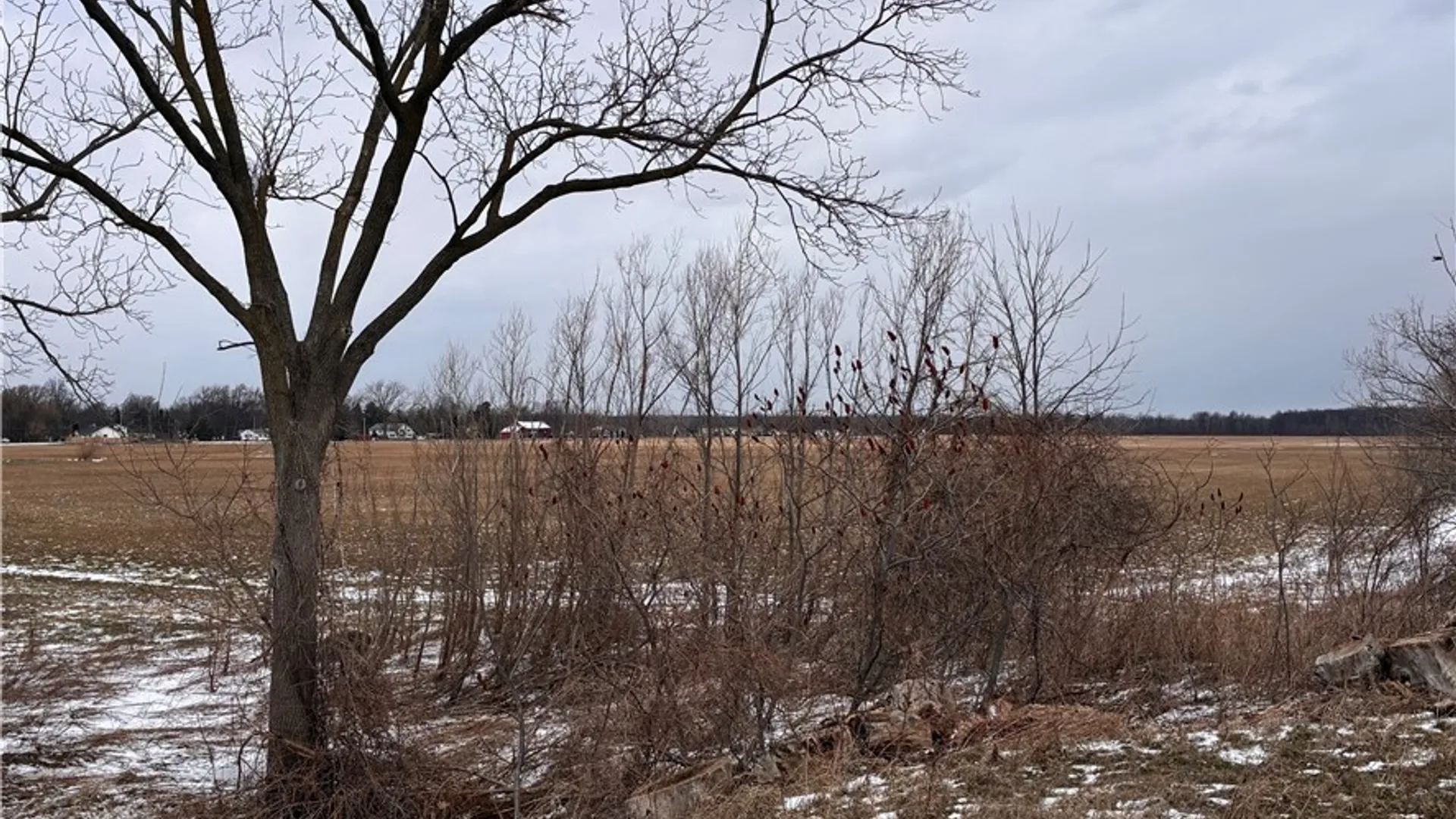 Property at Ridge Road, Lewiston, NY 14092 9