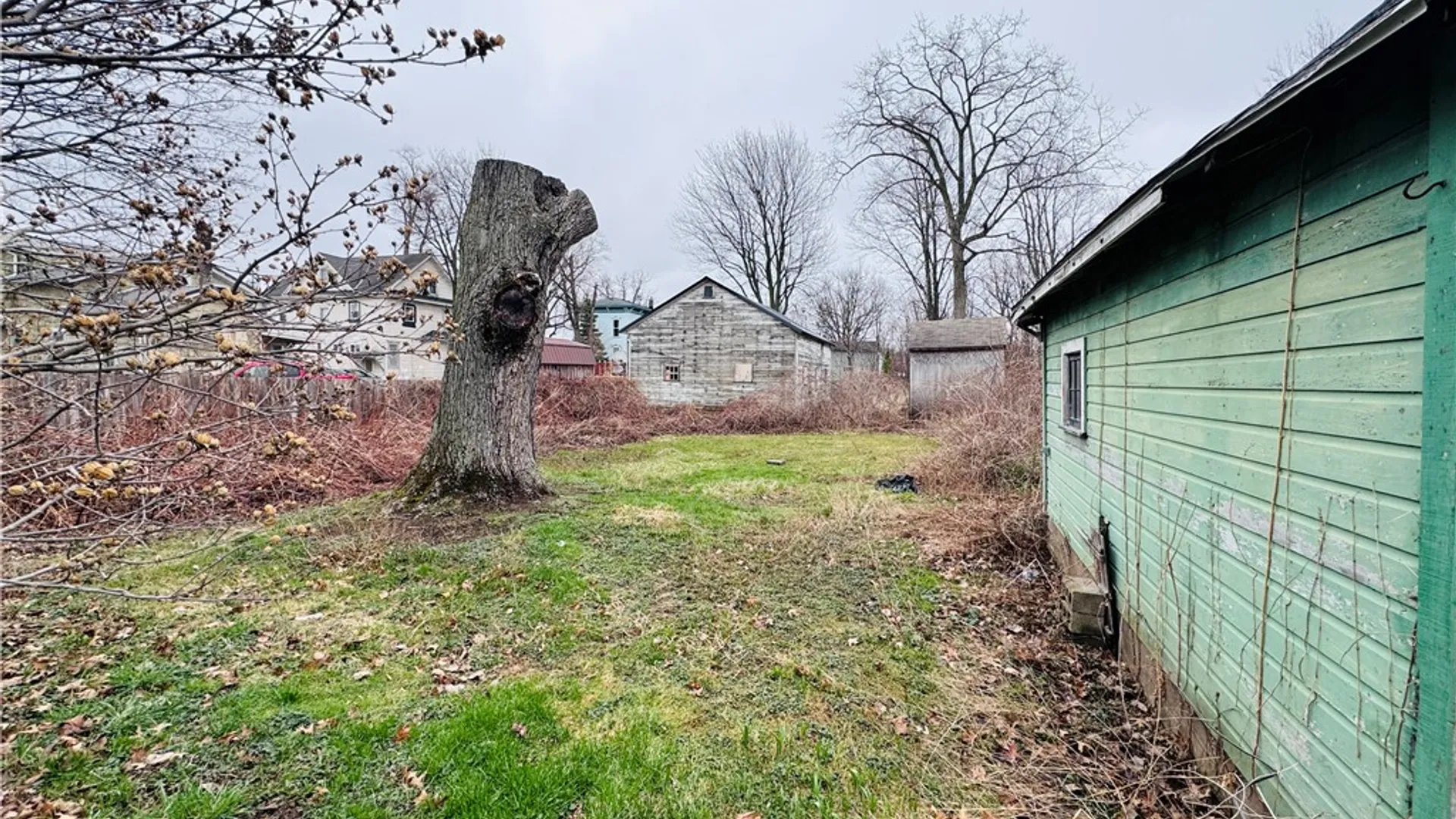 Property at 207 Clinton Street, Albion, NY 14411 18
