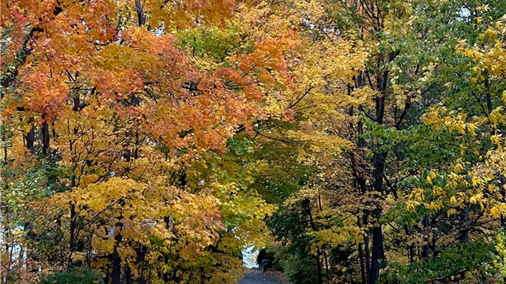 Property at 843 Lake Road, Jerusalem, NY 14418 44